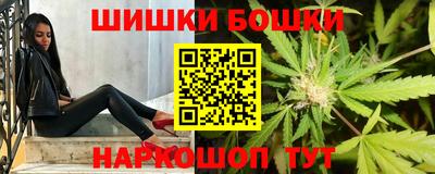крисы Коммунар