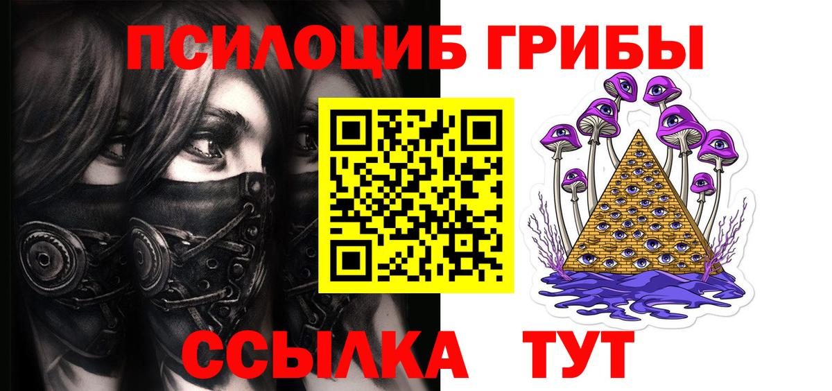 Кинель  Псилоцибиновые грибы MAGIC MUSHROOMS  Вход с VPN 