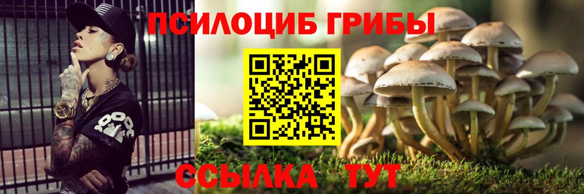Псилоцибиновые грибы GOLDEN TEACHER Кинель